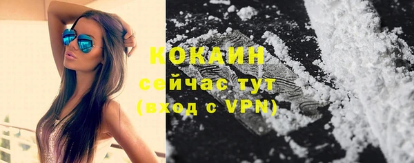 крисы Нягань