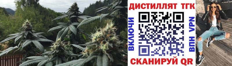 где продают наркотики  Каргат  ТГК вейп с тгк 