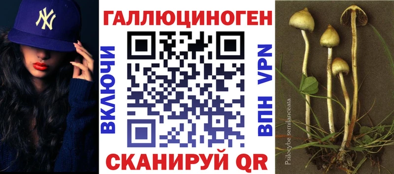 Псилоцибиновые грибы Psilocybine cubensis Каргат